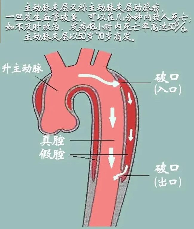 640 (1)_副本