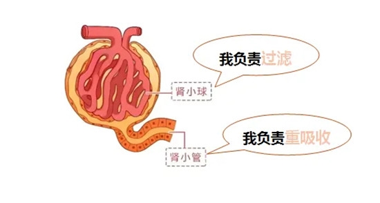 640 (1)_副本