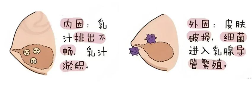 640_副本 640_副本