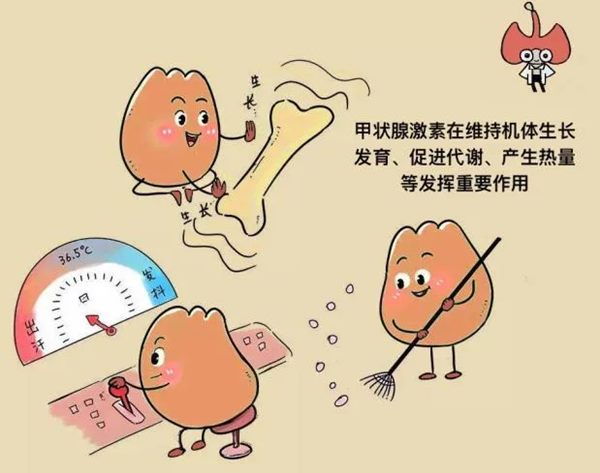 640 (4)_副本 640 (4)_副本