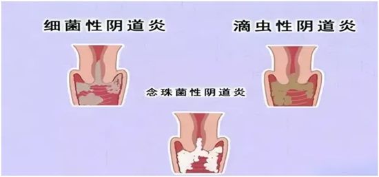 640 (2)_副本 640 (2)_副本