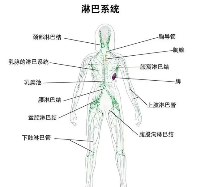 640_副本 640_副本