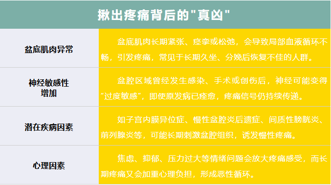 QQ截图20250813080958 QQ截图20250813080958