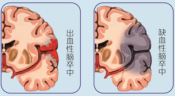 微信图片_20250906113454 微信图片_20250906113454