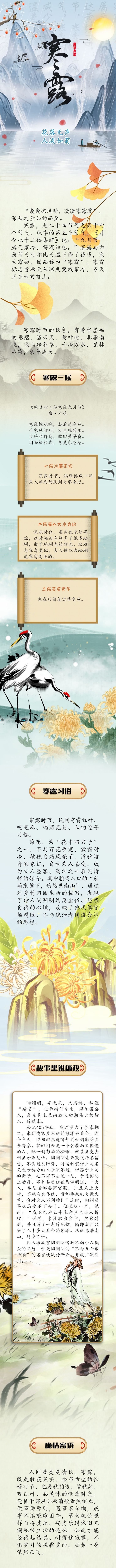 寒露 花落无声 人淡如菊