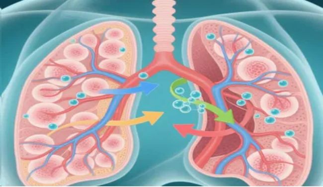 640 (1)_副本 640 (1)_副本