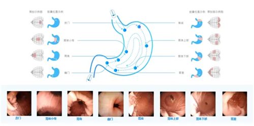 640 (5)_副本 640 (5)_副本
