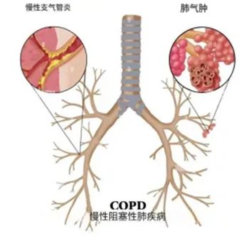 640 (2)_副本 640 (2)_副本