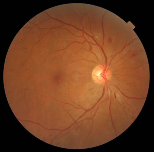 640_副本 640_副本