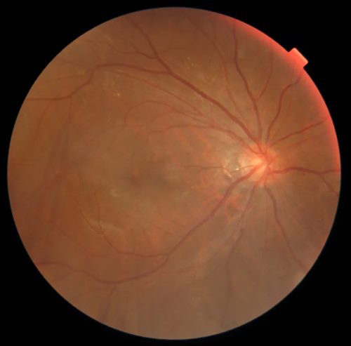 640 (4)_副本 640 (4)_副本