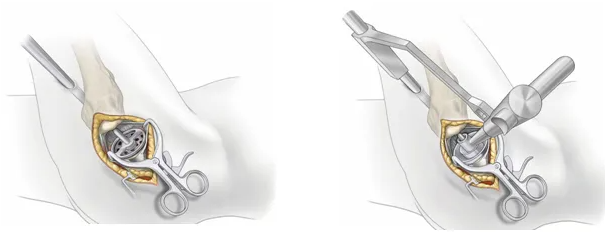 QQ截图20251205090327