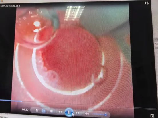 640_副本 640_副本