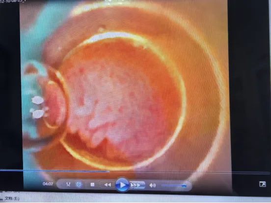 640 (2)_副本 640 (2)_副本