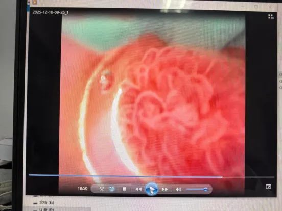 640 (3)_副本 640 (3)_副本