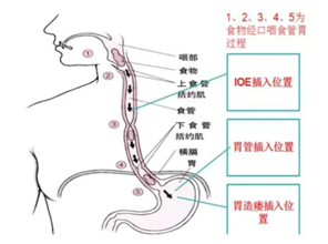 微信图片_2026-01-15_174244_915