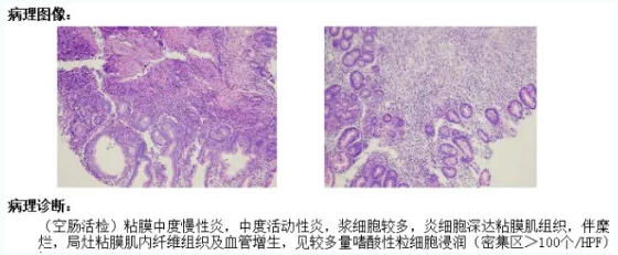 QQ截图20260117084154