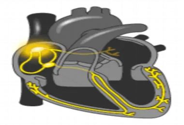 640 (1)_副本 640 (1)_副本