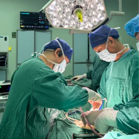 640_副本 640_副本