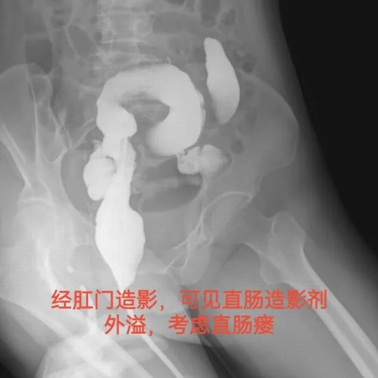 640 (7)_副本 640 (7)_副本