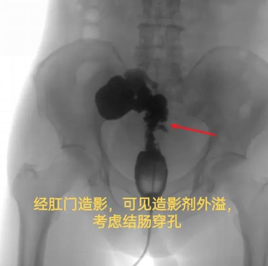 640 (8)_副本 640 (8)_副本