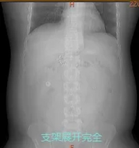 640 (1)_副本 640 (1)_副本