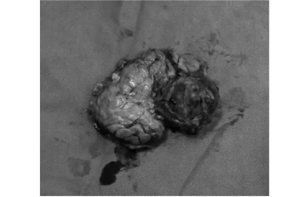 640 (2)_副本 640 (2)_副本