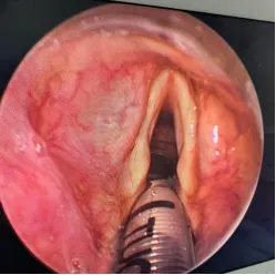 640_副本 640_副本