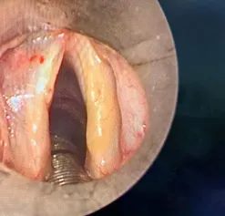 640 (1)_副本 640 (1)_副本