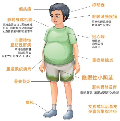 640_副本 640_副本