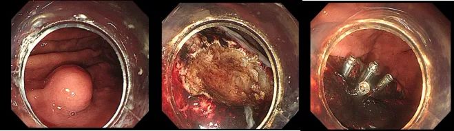 640_副本 640_副本